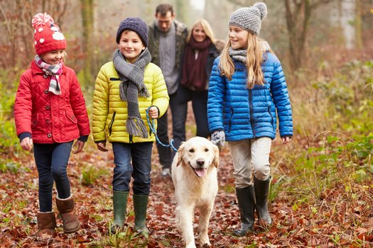 Familienurlaub in Holland