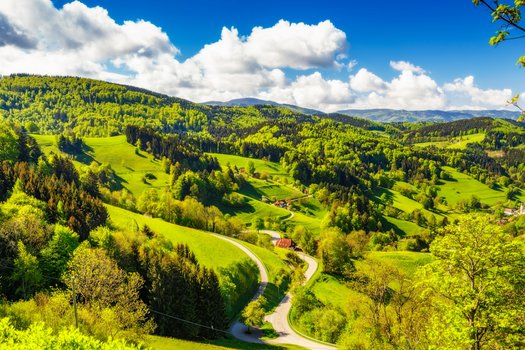 Genuss im Schwarzwald