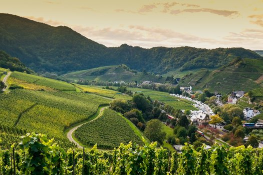 4*S-Hotel in Bad Neuenahr